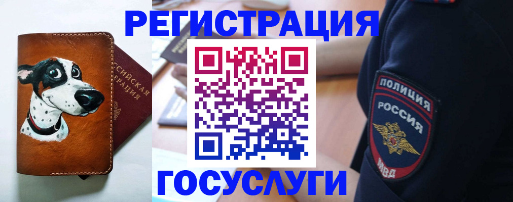 временная регистрация в квартире в Чите